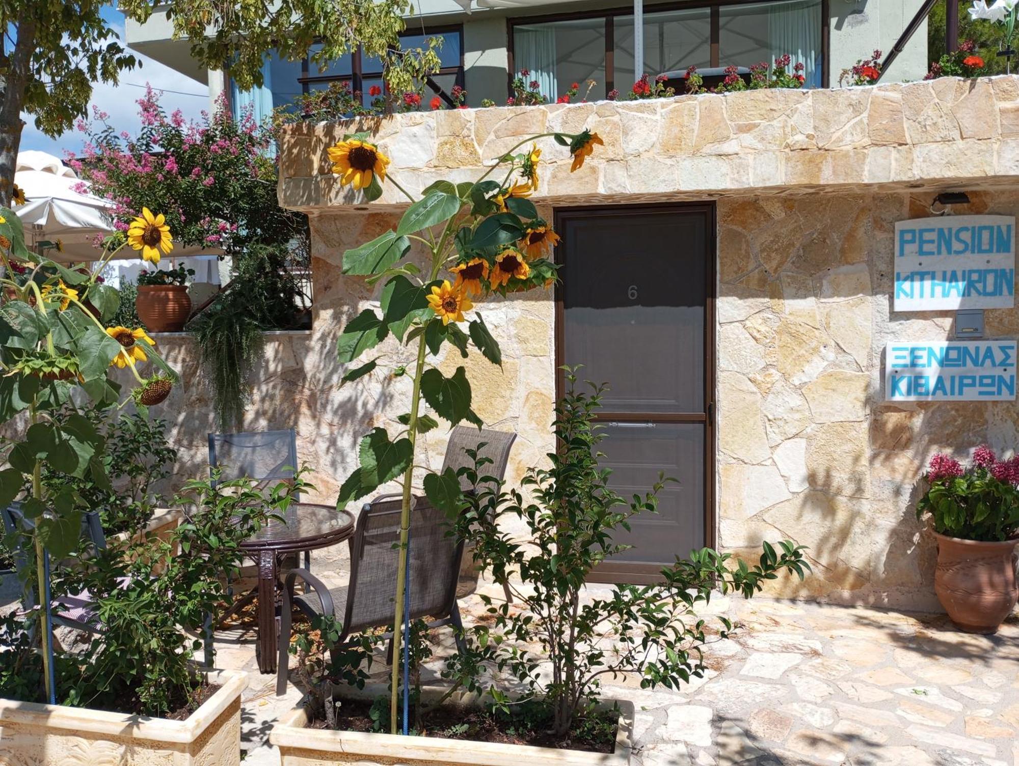 Xenonas Κithαiron Hotel Vilia Ngoại thất bức ảnh